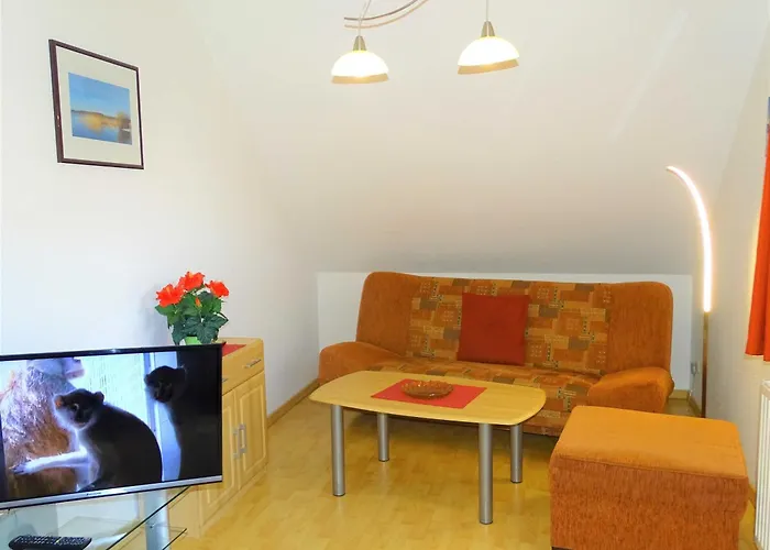 Kos - Ohm 코세로우